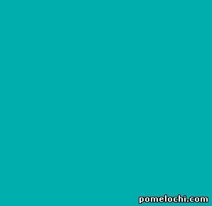 Краситель для аэрографа Ateco Бирюзовый Turquoise 20мл