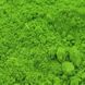 Сухой краситель Sugarflair Салатовый Spring green, 7мл