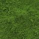Сухой краситель Sugarflair Зеленая листва Foliage Green, 7мл